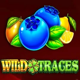Wild Traces online slot from Amusnet Interactive – play at gramsbetonline.com